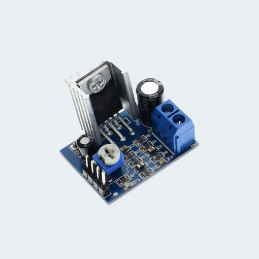 TD2030A Audio amplifier Module