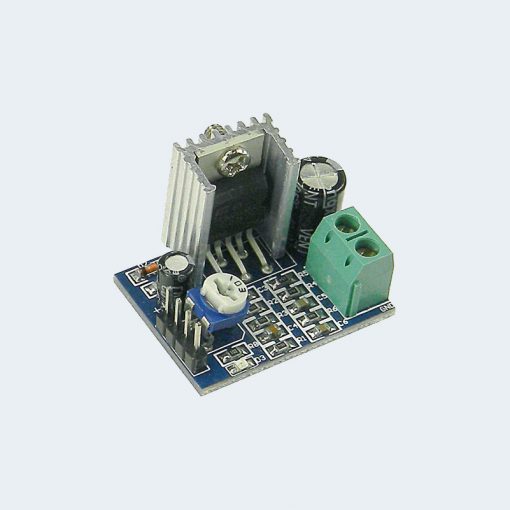 TD2030A Audio amplifier Module