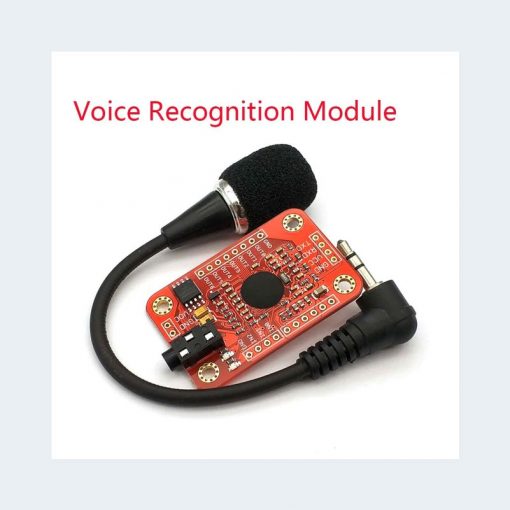 Voice Recognition Module